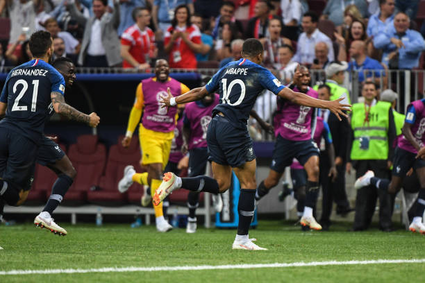 森林狼在过 森林狼在过